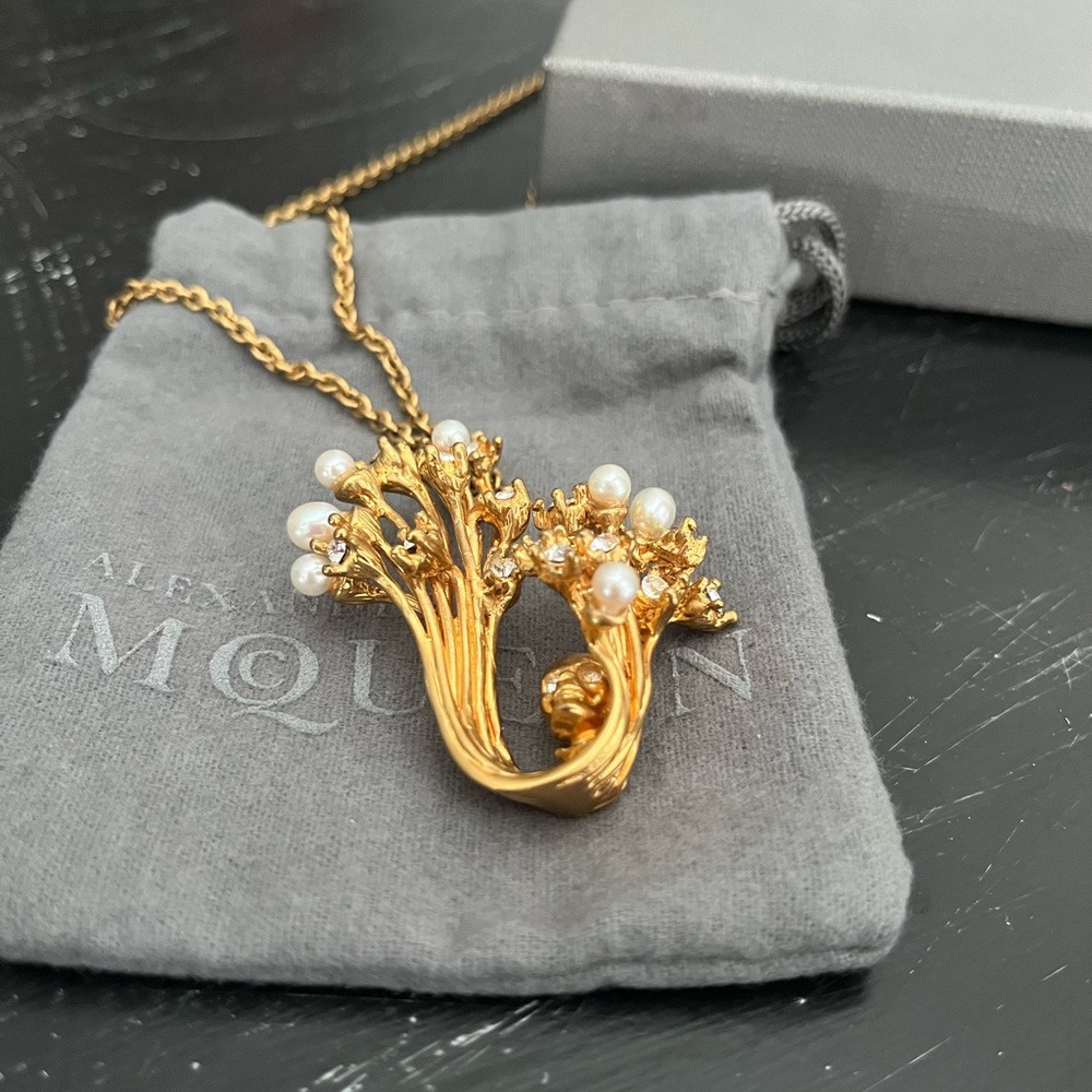 Alexander McQueen Necklace - Picture 16 of 16